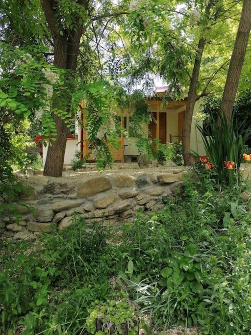 Casa De Oaspeti Adorabila Aproape De Natura Lejlighed Sărata-Monteoru Eksteriør billede